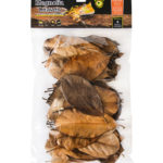 Galapagos Natural Magnolia Leaf Litter (4 Qt)