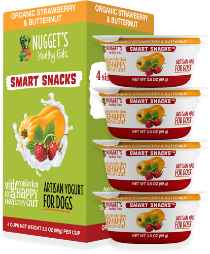 Nugget's Healthy Eats Smart Snacks Strawberry & Butternut