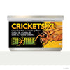 Exo Terra Crickets XL Specialty Reptile Canned Food