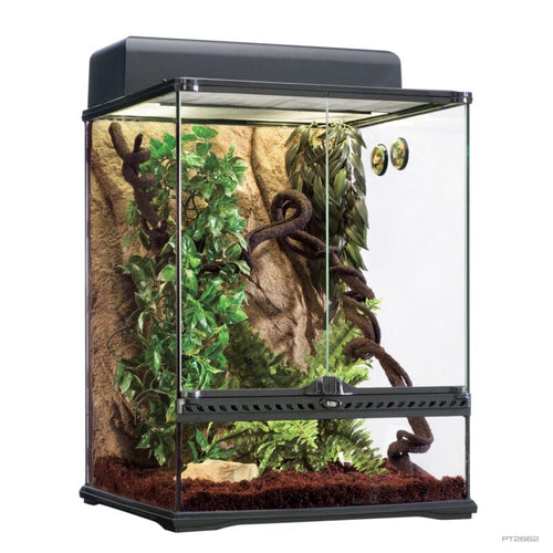 Exo Terra Habitat Kit Rainforest Medium