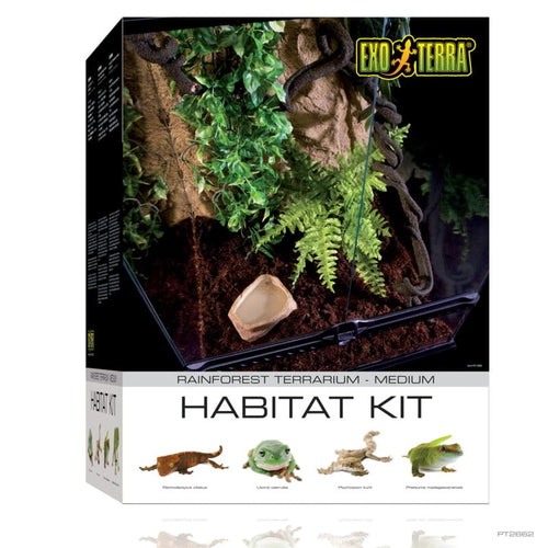 Exo Terra Habitat Kit Rainforest Medium