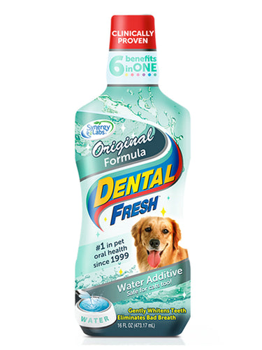 Synergy Labs Dental Fresh Original Formula For Dogs (17-oz)