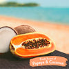 TropiClean Papaya & Coconut Luxury 2-in-1 Pet Wipes