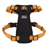 Coastal Pet Products K9 Explorer Brights Reflective Front-Connect Harness