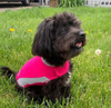 Thunderworks ThunderShirt for Dogs: Pink Polo