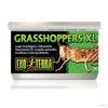 Exo Terra Canned Specialty Reptile Foods Grasshoppers XL