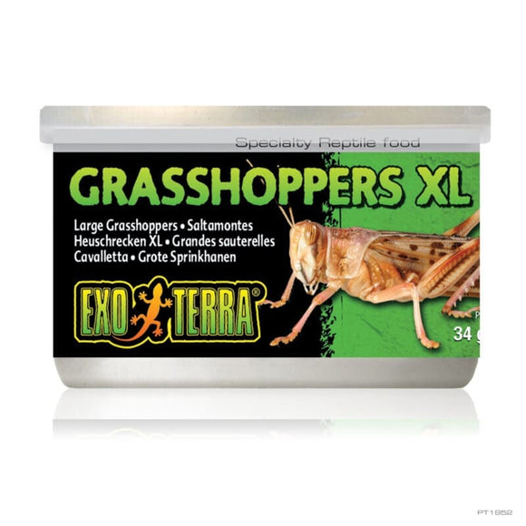 Exo Terra Canned Specialty Reptile Foods Grasshoppers XL