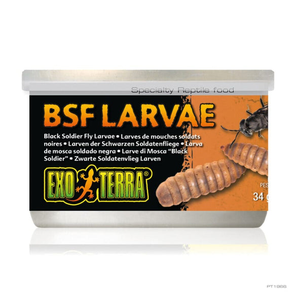 Exo Terra Canned Specialty Reptile Foods lack Soldier Fly Larvae