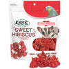Exotic Nutrition Sweet Hibiscus Treat