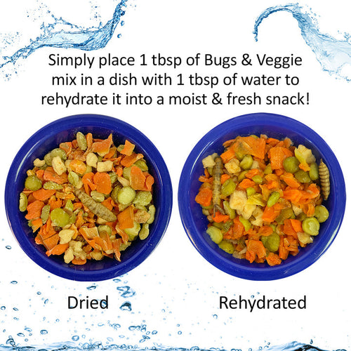 Exotic Nutrition Hedgie Bugs & Veggie Treat
