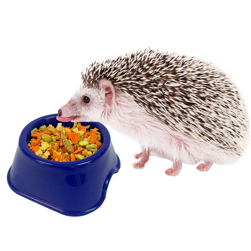Exotic Nutrition Hedgie Bugs & Veggie Treat