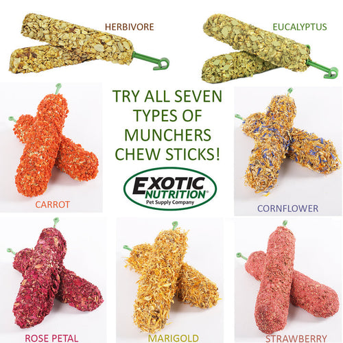 Exotic Nutrition Strawberry Treat Sticks