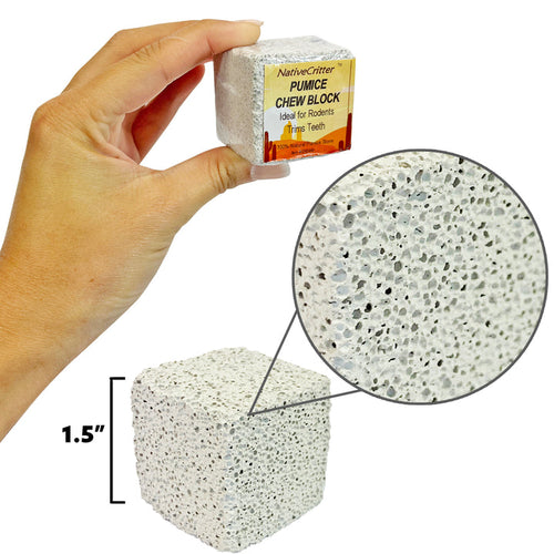 Exotic Nutrition Pumice Chew Block