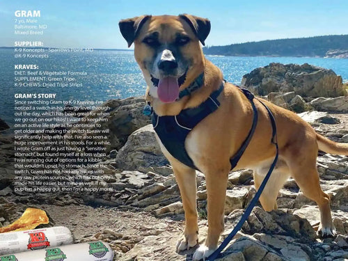 K-9 Kraving Green (Beef) Tripe Raw Dietary Supplement