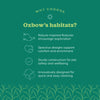 Oxbow Animal Health Enriched Life – Multi-Level Habitat