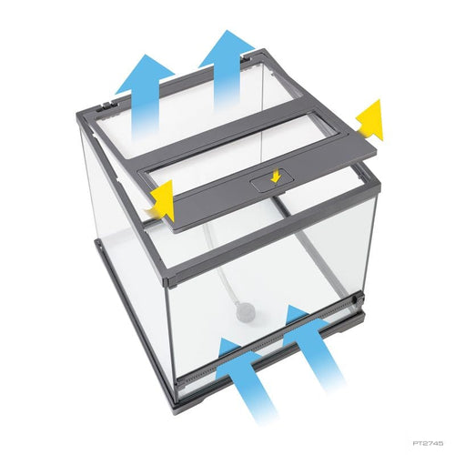 Exo Terra Dart Frog Terrarium