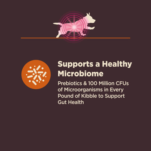 Wellness CORE Digestive Health Small Breed Chicken & Brown Rice