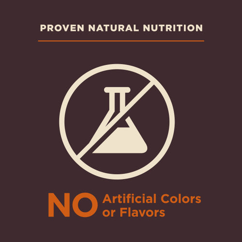 Wellness CORE Digestive Health Small Breed Chicken & Brown Rice