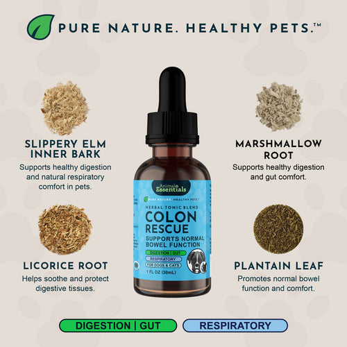 Animal Essentials Colon Rescue Herbal Tonic | Supports Normal Bowel Function
