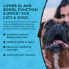 Animal Essentials Colon Rescue Herbal Tonic | Supports Normal Bowel Function