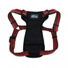 Coastal K9 Explorer Reflective Adjustable Padded Dog Harness