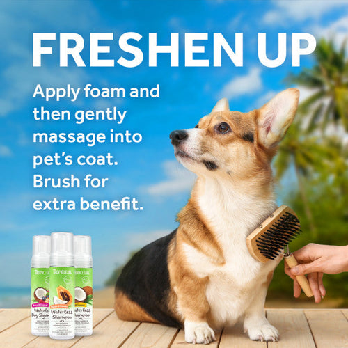 TropiClean Gentle Coconut Hypoallergenic Waterless Shampoo for Pets