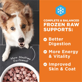 Nature's Variety Instinct Raw Frozen Beef Bites Dog Food